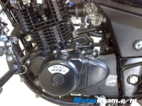thumbs Bajaj Pulsar Orange Edition 03 photo