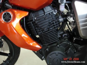yamaha fz16 engine 300x225 photo