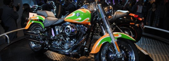 Harley_Davidson_Fat_Boy_India
