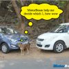 Swift or i20
