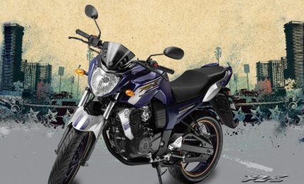 2012 Yamaha FZ-S Limited Edition