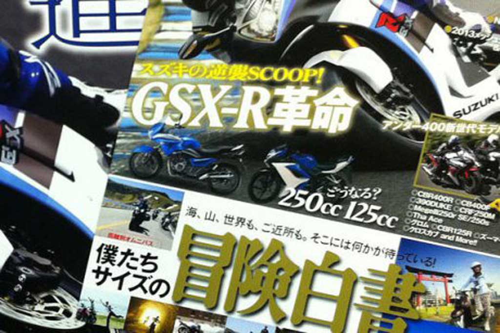 2013 Suzuki GSX250R Picture