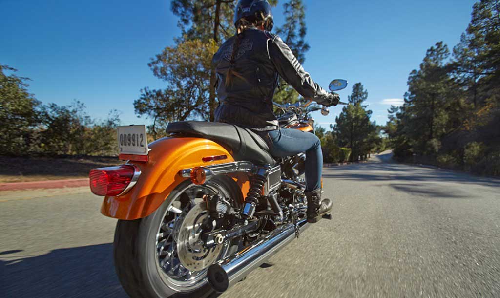 2014-Harley -Davidson-Dyna-Low-Rider-Rear