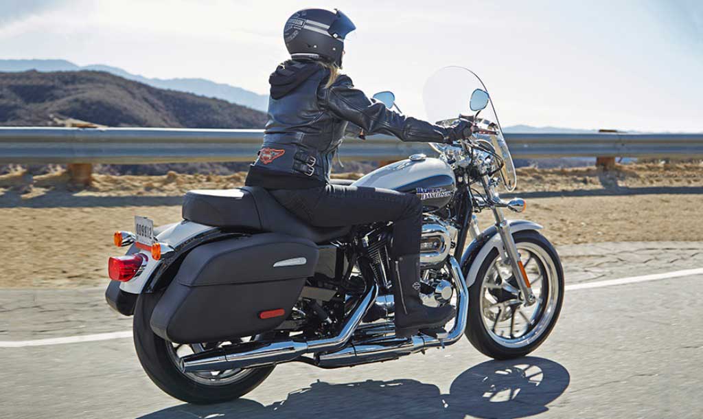 2014 Harley Davidson SuperLow 1200T Rear