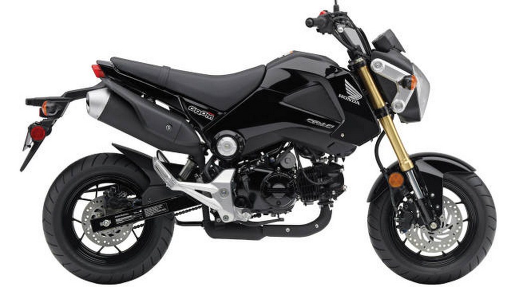 licentie kwaadaardig Ontwarren Honda Grom 125cc Motorcycle Launched In America