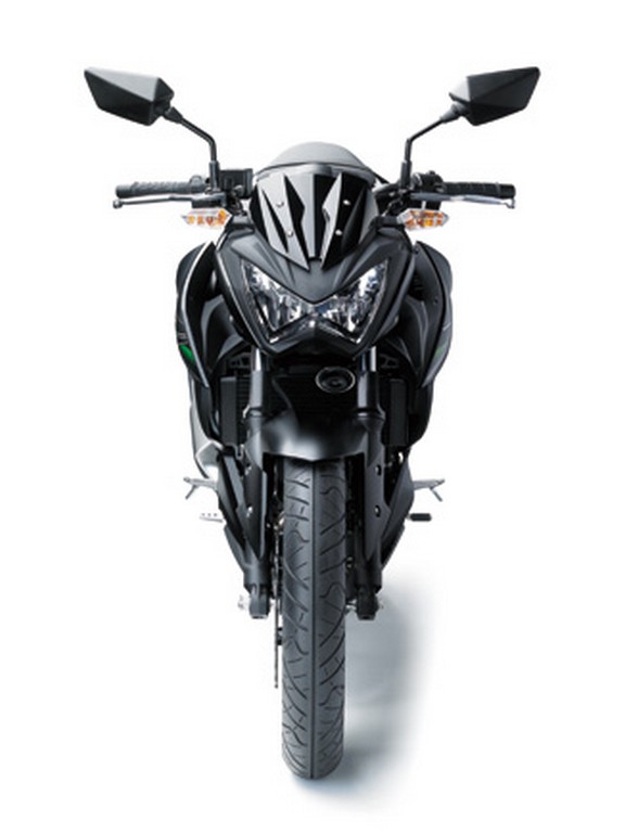 2014 Kawasaki Z250 Front