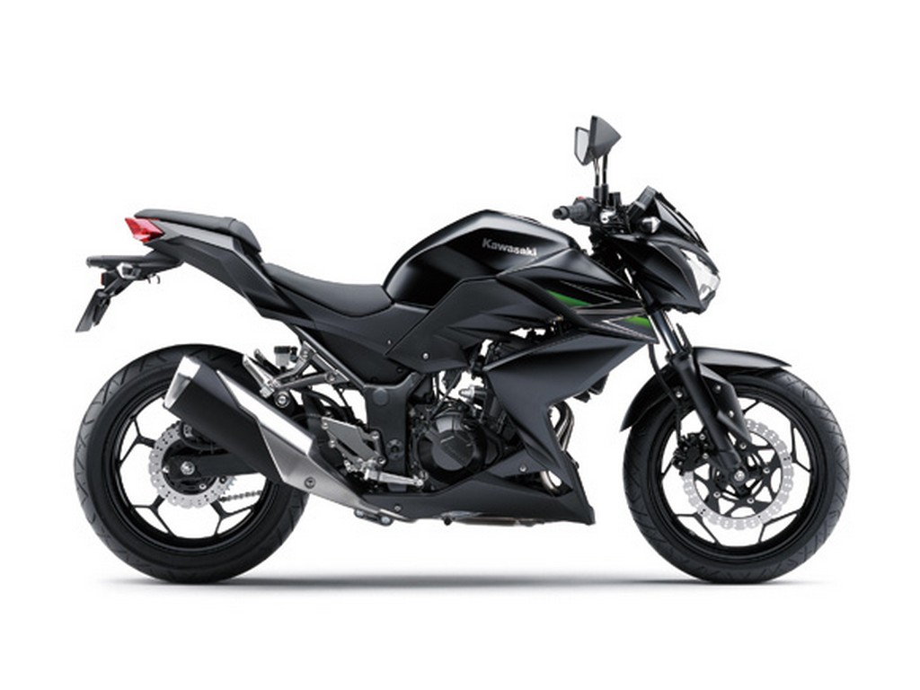 2014 Kawasaki Z250 Side