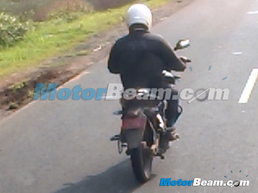 2015 Bajaj Pulsar 150 NS Spied Lonavala Rear