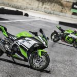 2015 Kawasaki Ninja 300 Anniversary Edition