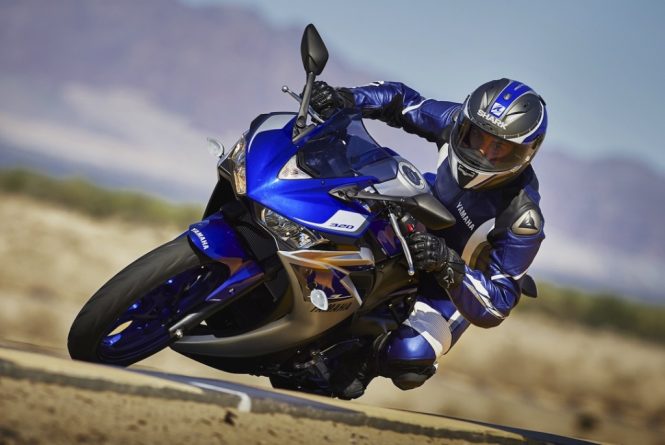 2015 Yamaha R3 Action