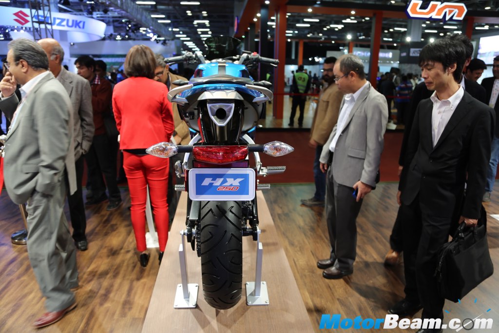 2016 Hero HX250 Rear