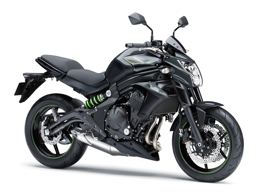 2016 Kawasaki ER-6n Pin Stripes Fuel Tank