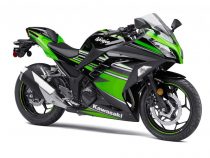 2017 Kawasaki Ninja 300 KRT