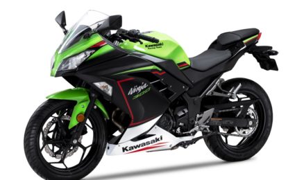 2021 Kawasaki Ninja 300 Lime Green