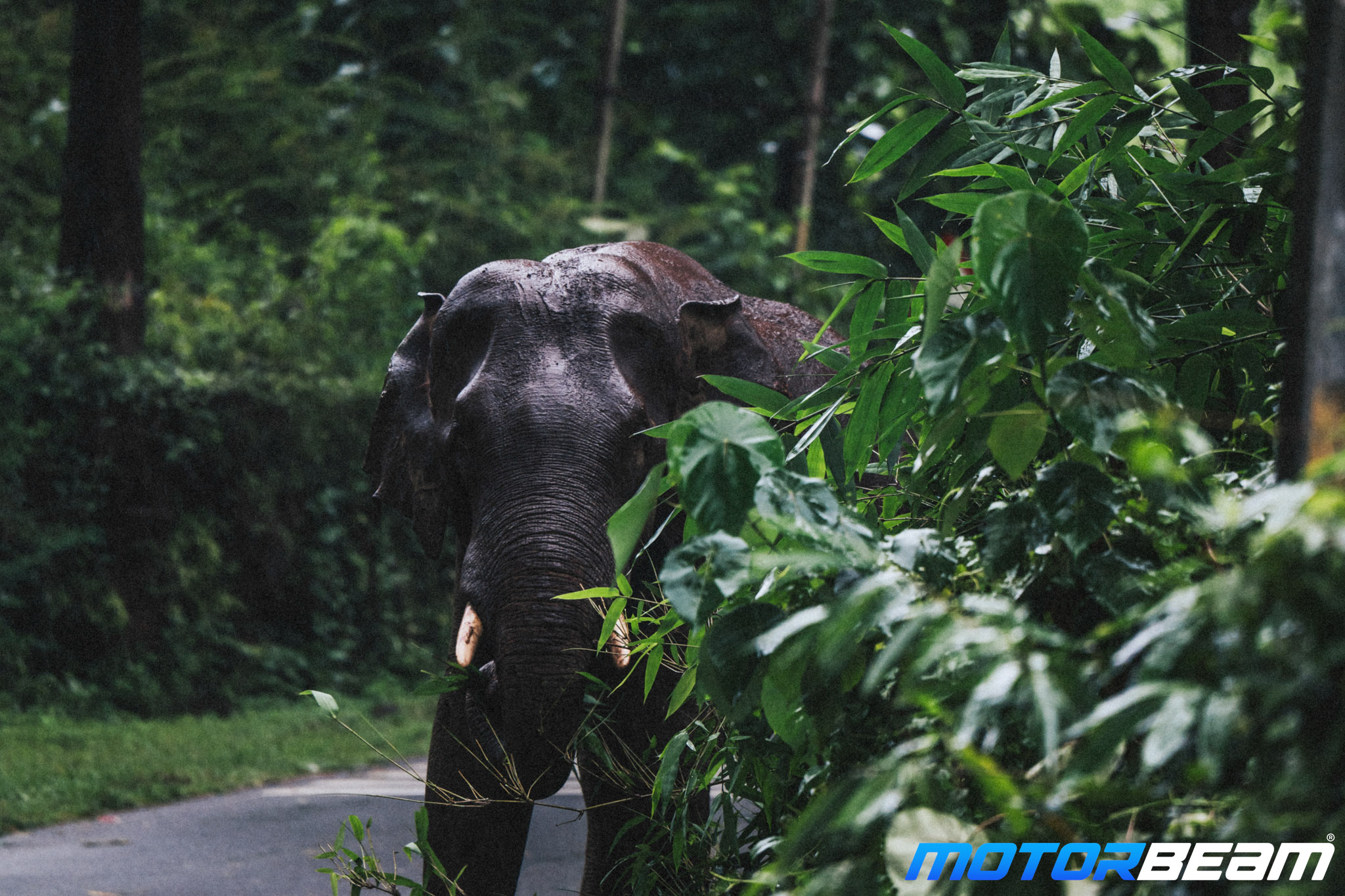 2025-Honda-Drive-To-Discover-8