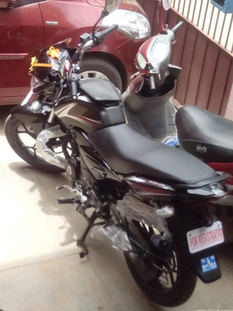 Bajaj Discover 150 S Delivery Rear