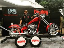 Big Gog Motorcycles In India