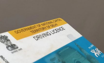 Delhi Driving Licence