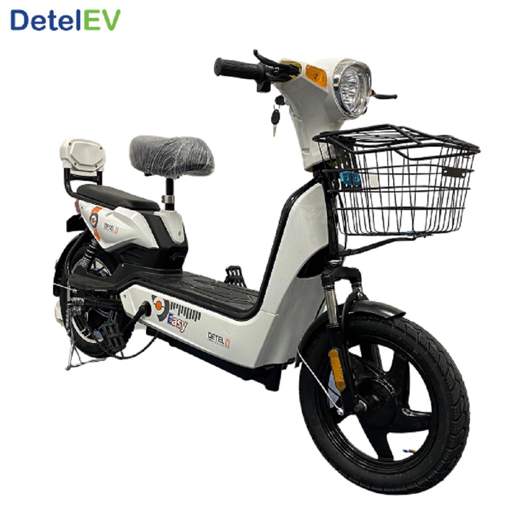 Detel Easy EV Price Fixed At Rs