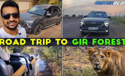 Gir Forest Thumbnail