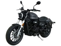 Harley-Davidson 300cc Sportster