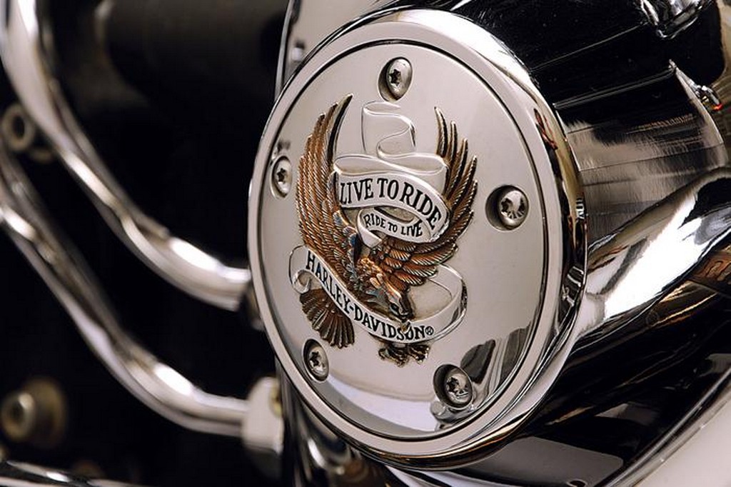Harley Davidson crankcase