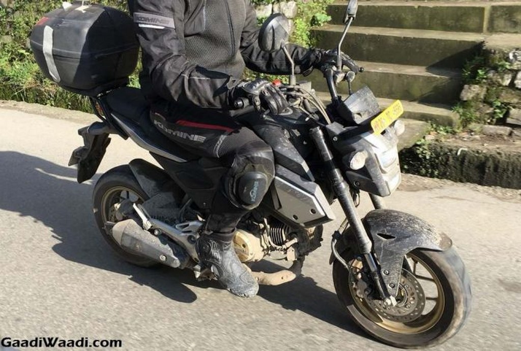 Honda Grom 125cc Front And Side