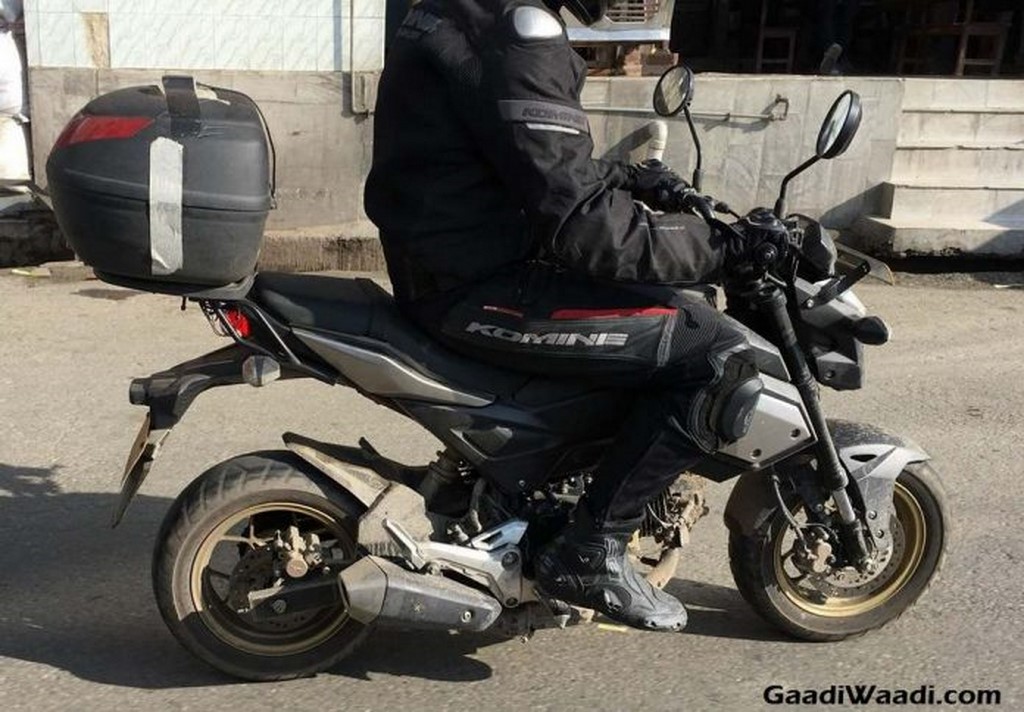 Honda Grom 125cc Side Profile Spotted