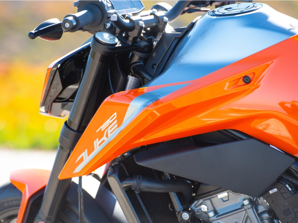 KTM Duke 790 Rivals