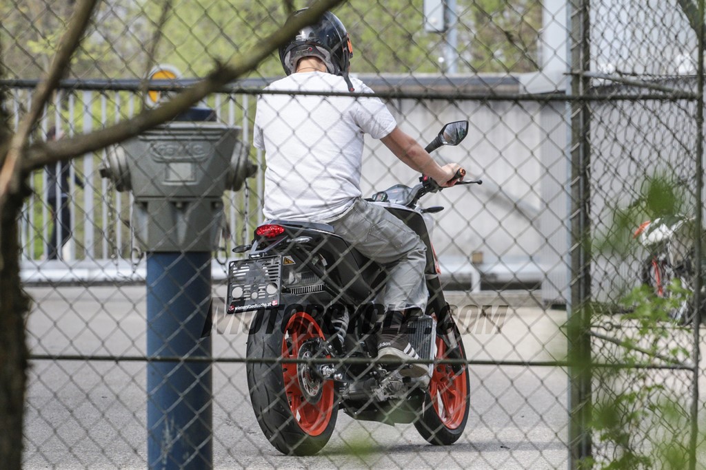 KTM E Duke 390 Spied Rear