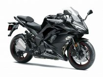 Kawasaki Ninja 1000 Black Colour