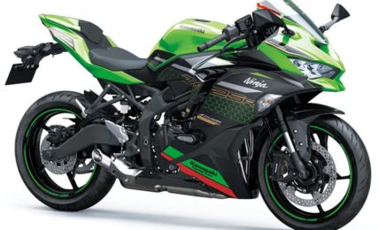 Kawasaki Ninja ZX 25R