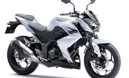 Kawasaki Z250 Official