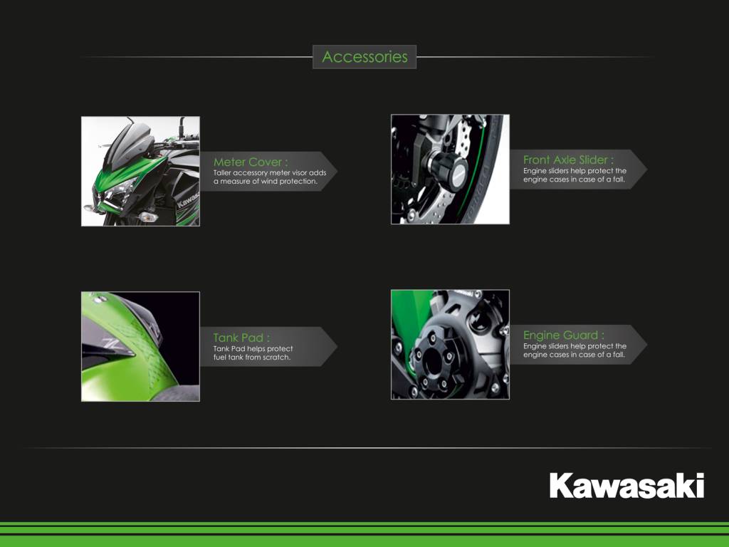 Kawasaki Z800 Accessories India