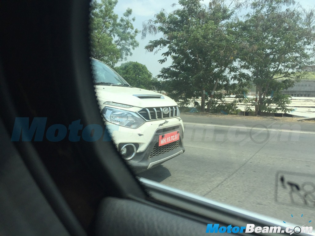 Nuvosport Spied Front