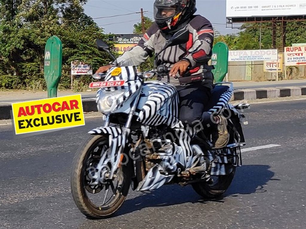 Pulsar Eleganz Spied