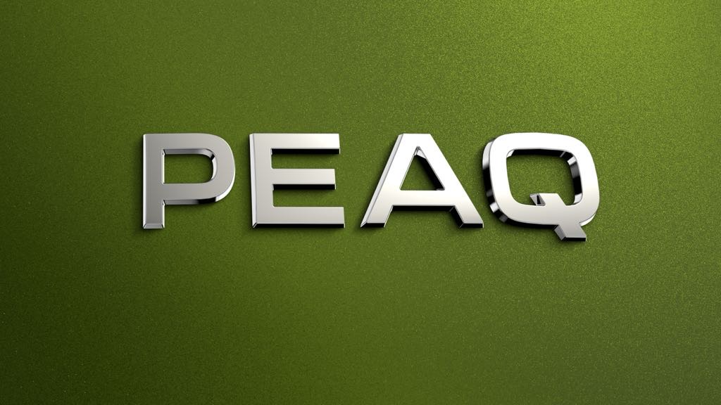 Skoda Peaq Teaser