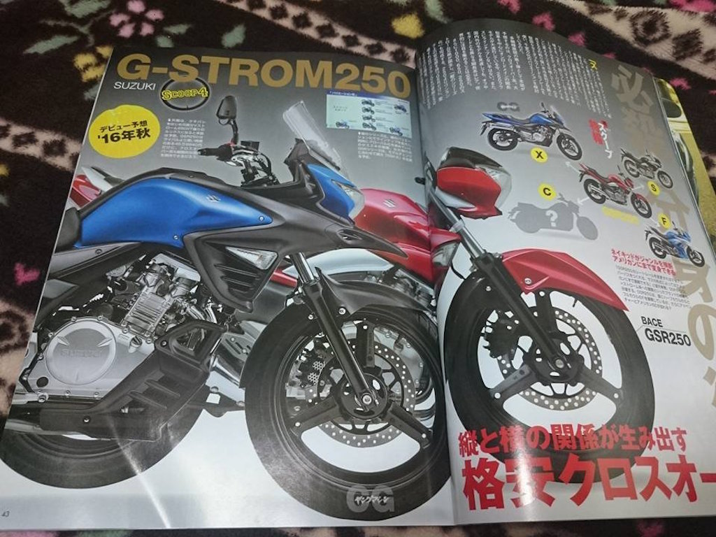 Suzuki G-Strom 250 Rendering