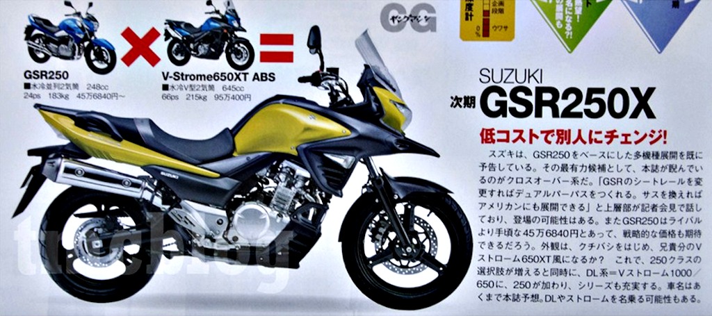 Suzuki V-Strom 250 Rendering