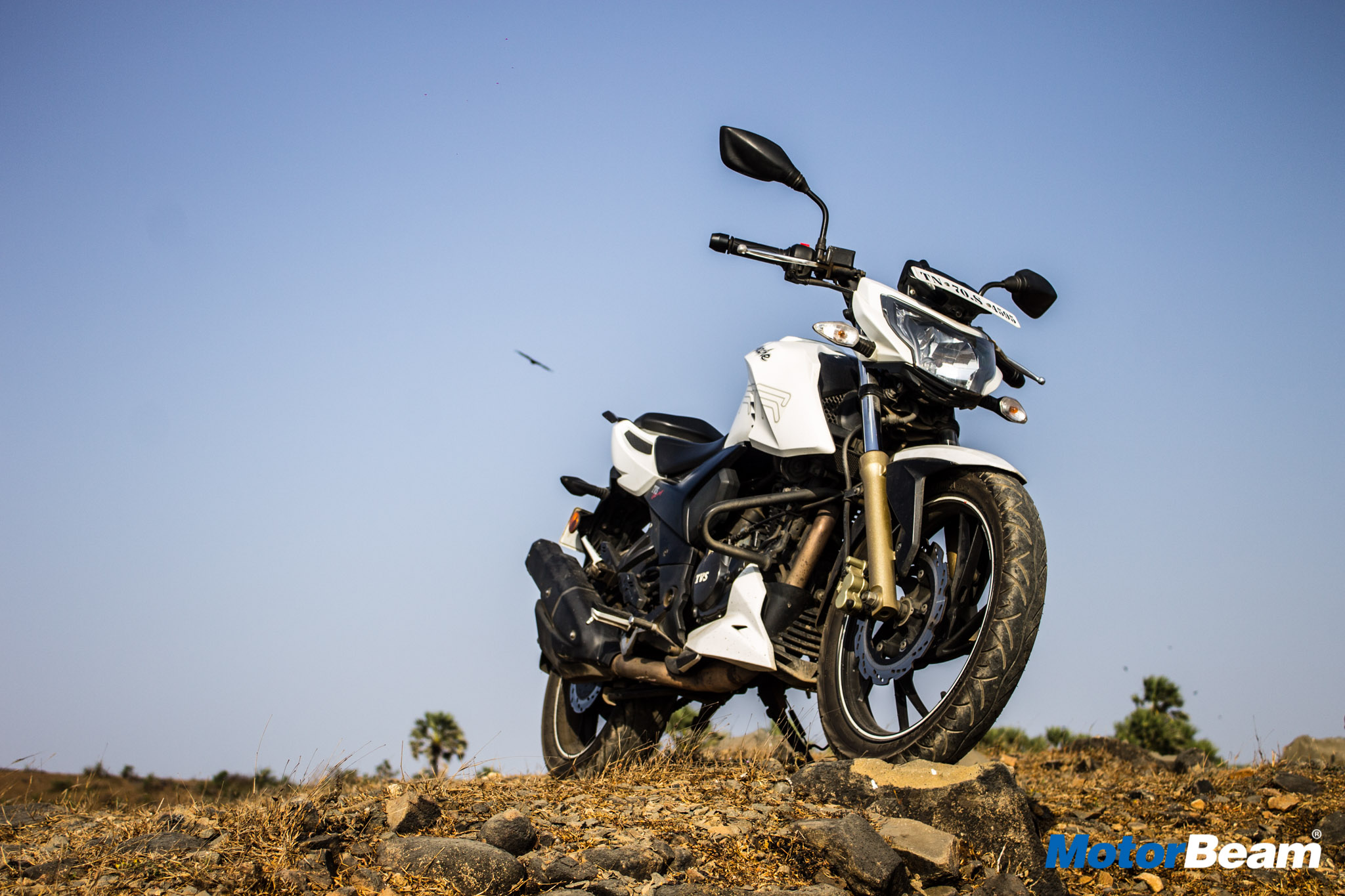 TVS Apache 200 Long Term Report