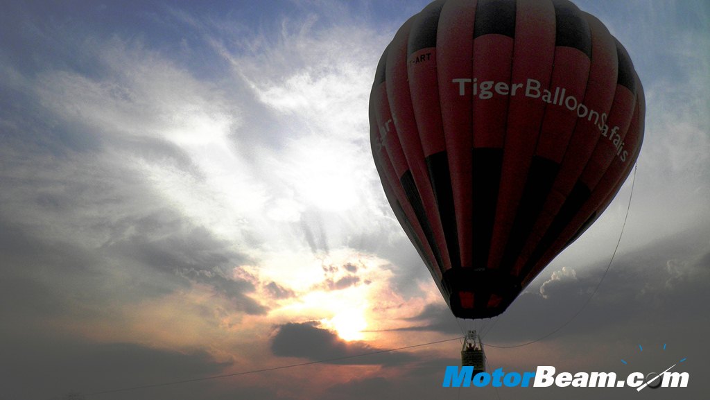 Tata Jungle Experience balloon