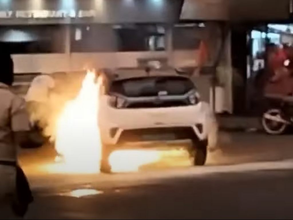 Tata Nexon EV Fire