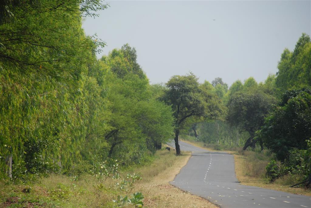 Yamaha RX135 Highway Trip