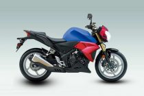 ZJMM R12 Streetfighter